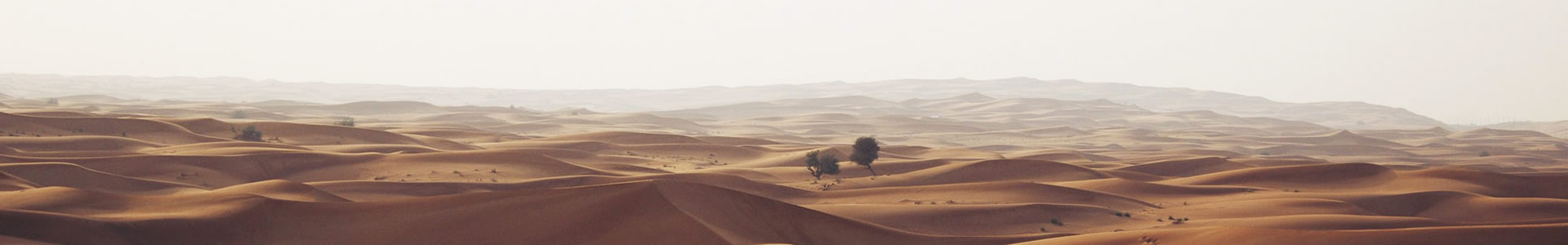 人ŻѶ޹˾
